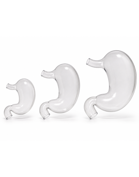 3D Printed Stomach Model, Transparent Resin Crystal, Customized Heart Surgery Model, Medical Teaching Tool, Cardiac Medical